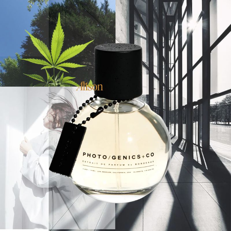 SET Photogenics + Co No.3 Sativa Extrait De Parfum 100ml